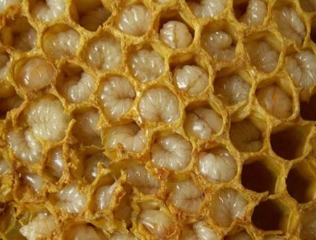Beekeeping products